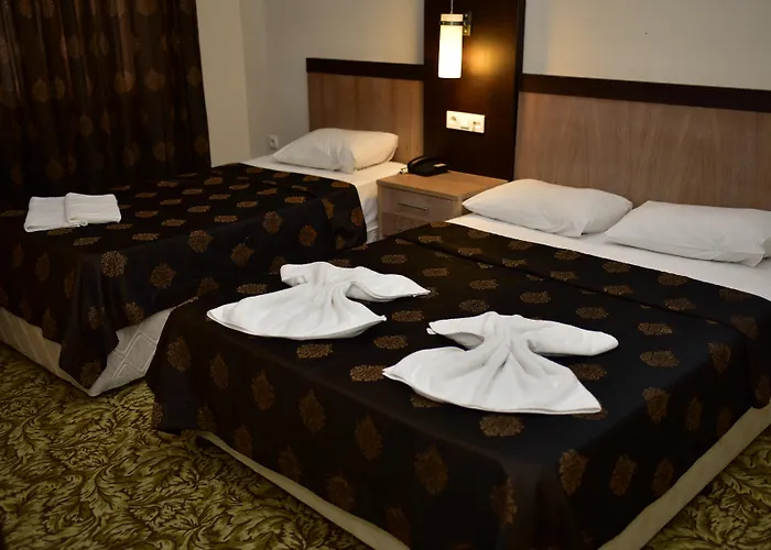 托普卡帕酒店 酒店 3*