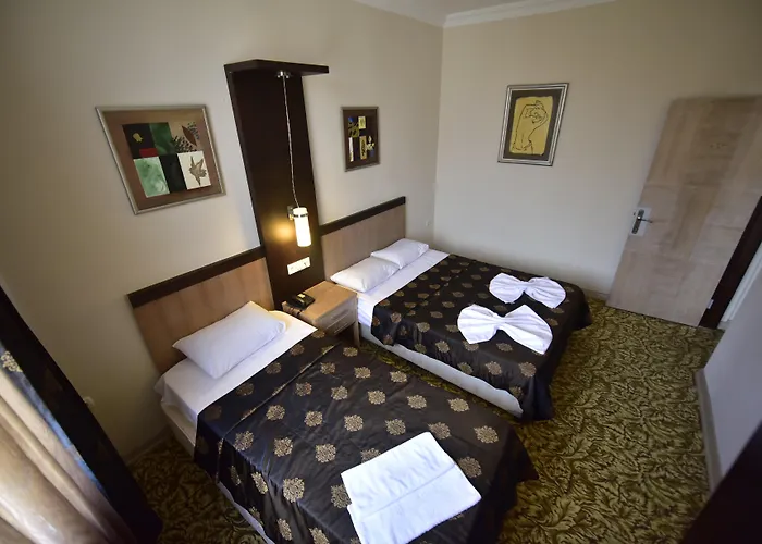 托普卡帕酒店 3* 伊斯坦布尔