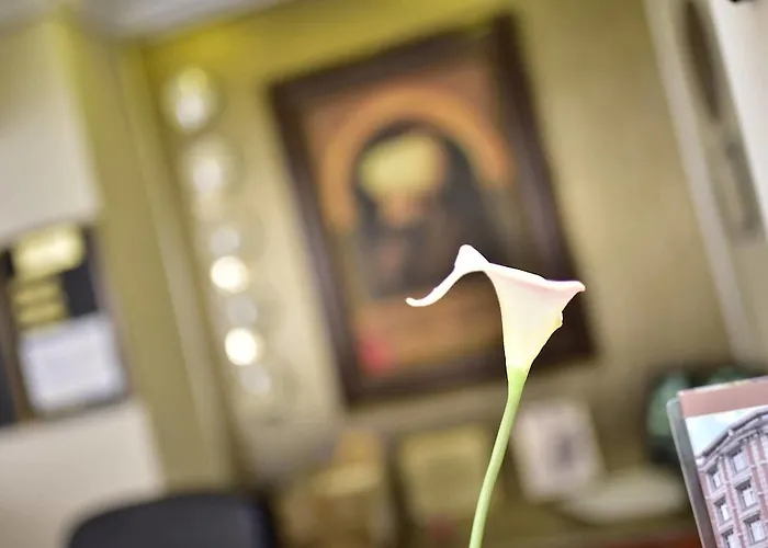 托普卡帕酒店 酒店