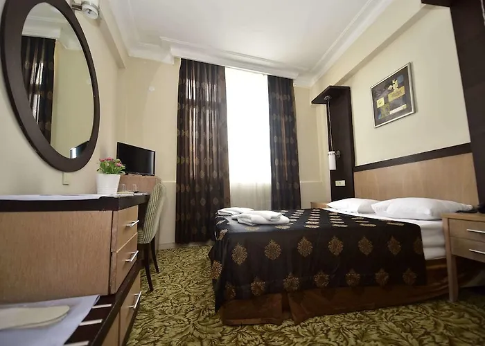 托普卡帕酒店 3*