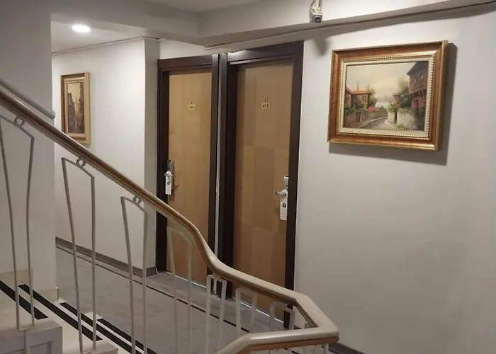 托普卡帕酒店 伊斯坦布尔