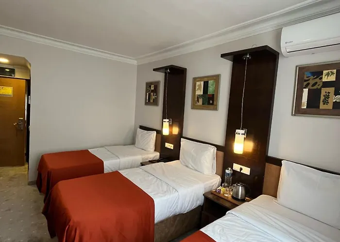 Отель Topkapi 3*