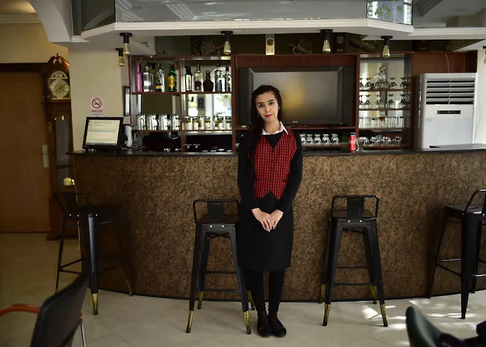 酒店 托普卡帕酒店 伊斯坦布尔